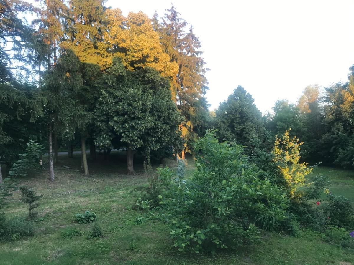 Zabytkowy Drewniany Dom Z 1887 Roku Nowy Dwór Gdański Dış mekan fotoğraf